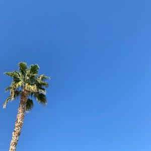 Meet your Posher, Lindsay